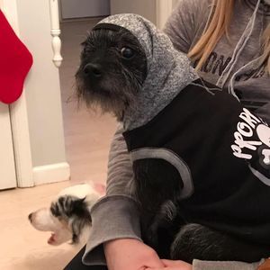 Meet your Posher, Chris